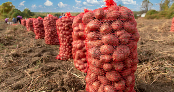 Why Gerovit’s Raschel Bags Are the Safe and Sustainable Choice