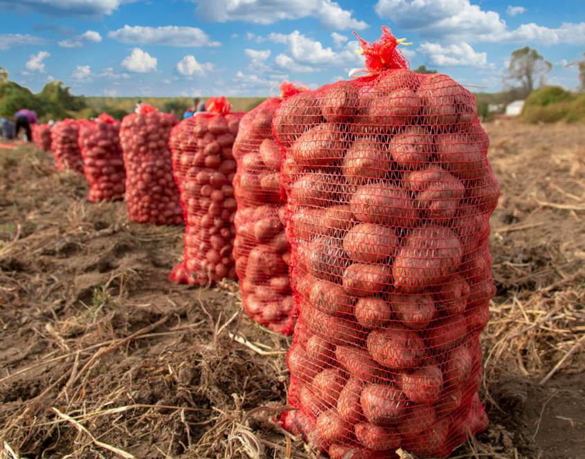 Why Gerovit’s Raschel Bags Are the Safe and Sustainable Choice 1 Raschel Bags